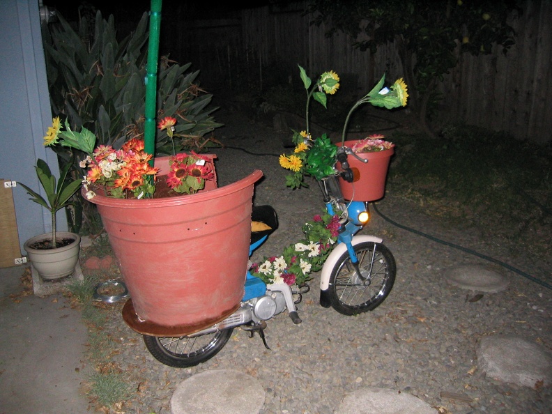 Our flower pot scooter...
