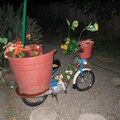 Our flower pot scooter...