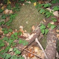 img_0049.jpg