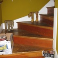 Stairs up from entryway to main level