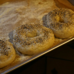 Making bagels