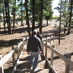 Tahoe camping