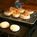 Our first attempt to make English Muffins