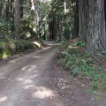 This is the road to the trailhead!