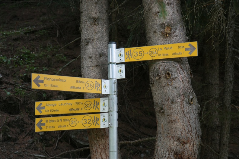 Hiking trail signs are all around
