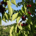 DSCN3078.JPG