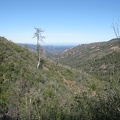View toward Monterey