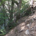 Steep waterfall trail