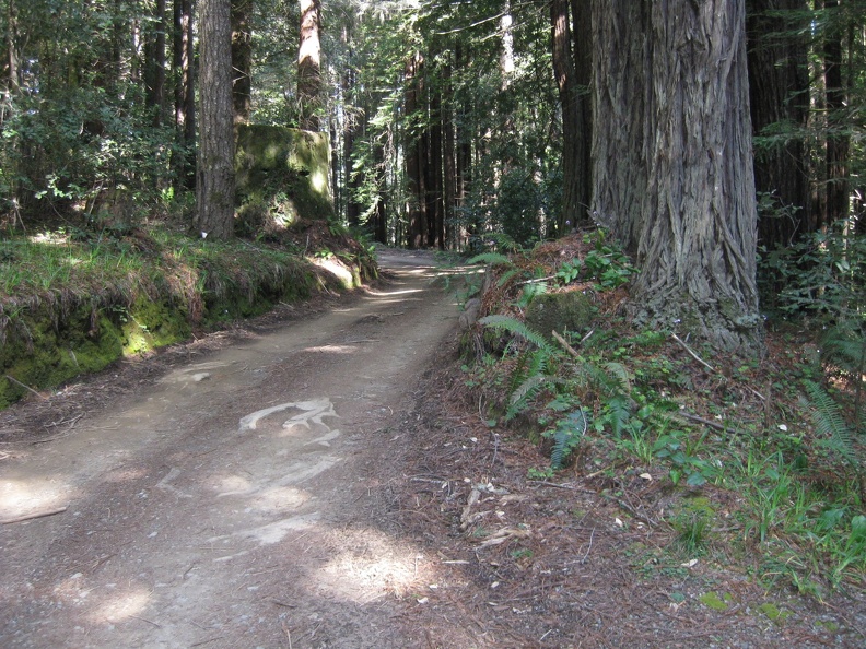 This is the road to the trailhead!